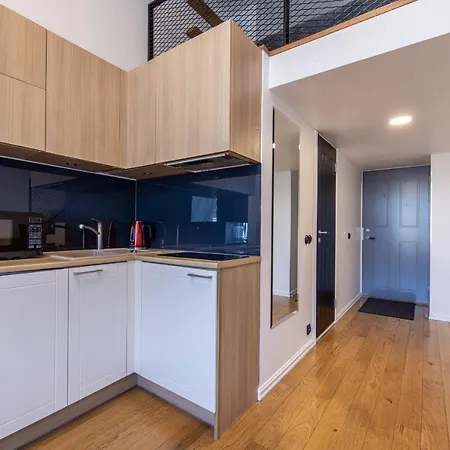 Apartment Urban Two-level 13 *